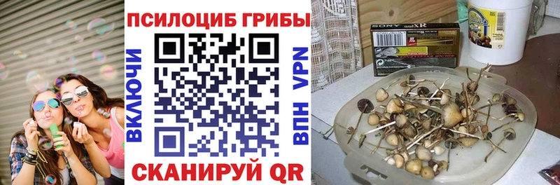 Псилоцибиновые грибы мухоморы  Мамадыш 
