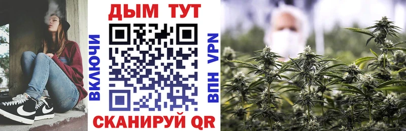 kraken как зайти Мамадыш МАРИХУАНА THC 21% наркота